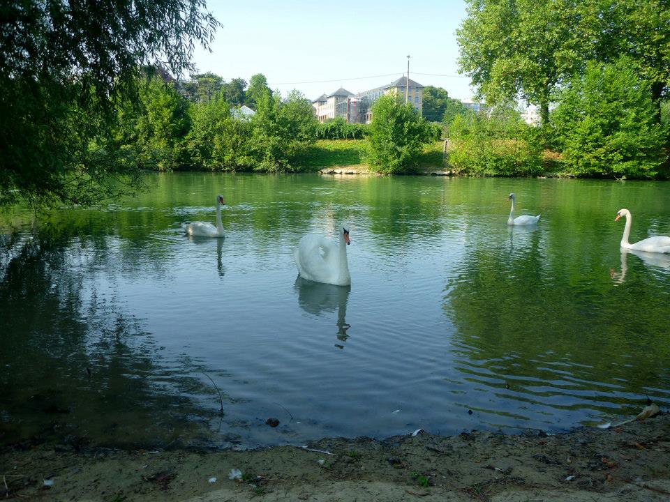 Sint-Martinus den XIIde - Kamp Curfoz JIN 2013